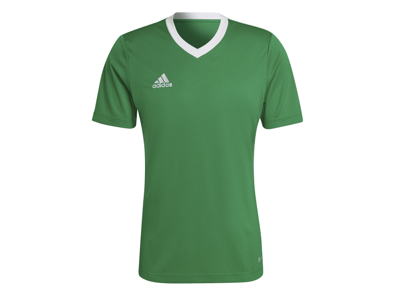 ADIDAS ENT22 JSY - TEAGRN/WHITE