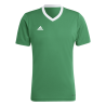 ADIDAS ENT22 JSY - TEAGRN/WHITE