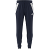 ADIDAS TIRO24 TR PNT - TENABL/WHITE