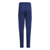 ADIDAS TIRO24 TR PANT W - TENABL/WHITE