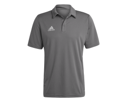 ADIDAS ENT22 POLO - TEGRFO
