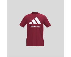 TERAMO CALCIO 1913 2025...