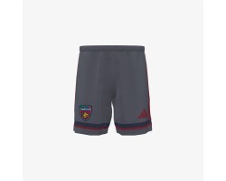COSENZA CALCIO 2025...