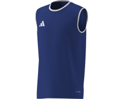 ADIDAS ENTRADA26 SS JERSEY...