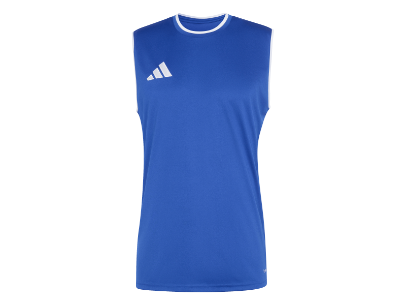 ADIDAS ENTRADA26 SS JERSEY - ROYBLU/WHITE