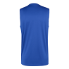ADIDAS ENTRADA26 SS JERSEY - ROYBLU/WHITE