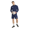 ADIDAS ENTRADA26 TRAINING SHORTS - TENABL/WHITE