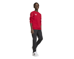 ADIDAS ENTRADA26 SWEAT TOP JR. - TEPORE/WHITE