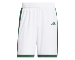 ADIDAS PULSE SPEED BBALL...
