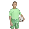 ADIDAS TIRO26 COMPETITION GK. JERSEY SHORT SLEEVE - LIMBUR
