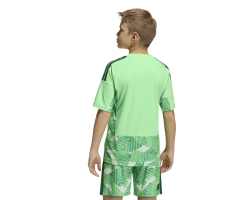 ADIDAS TIRO26 COMPETITION GK. JERSEY SHORT SLEEVE - LIMBUR