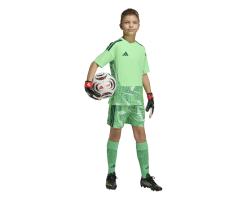 ADIDAS TIRO26 COMPETITION GK. JERSEY SHORT SLEEVE - LIMBUR