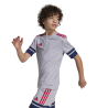 ADIDAS SQUADRA25 SHORTS JR. - GLOGRY/TENABL