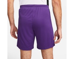 NIKE PANTALONCINO DRI-FIT PARK 3 - PURPLE/WHITE