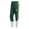 ADIDAS FIGC PRE. PANT. 25/26 - CGREEN