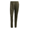 ADIDAS SQUADRA25 TR PANT M - NGTCAR/SEIMOR