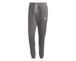 ADIDAS ENT22 SW PANT - TEGRFO